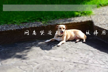 网商贷逾期三天会被停用吗 网商贷逾期三天会被停用吗