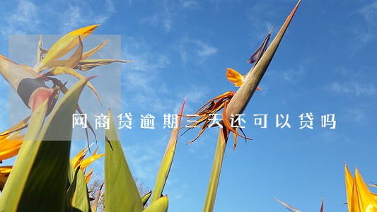 网商贷逾期三天还可以贷吗 网商贷逾期三天还可以贷吗