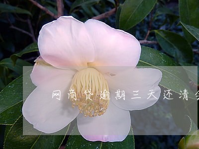 网商贷逾期三天还清会解封么 网商贷逾期三天还清会解封么