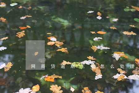 网商贷逾期三年怎么处理