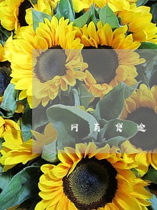 网商贷逾期三期了 网商贷逾期三期了