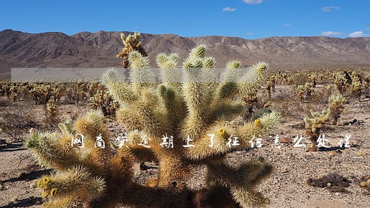 网商贷逾期上了征信怎么处理 网商贷逾期上了征信怎么处理