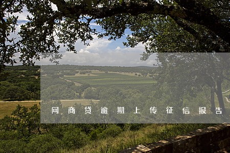 网商贷逾期上传征信报告 网商贷逾期上传征信报告