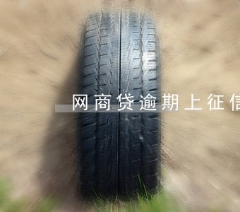 网商贷逾期上征信可以消除吗 网商贷逾期上征信可以消除吗