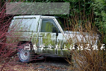 网商贷逾期上征信还能买房吗 网商贷逾期上征信还能买房吗