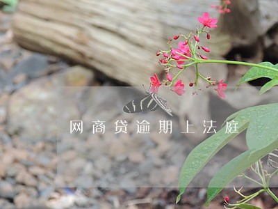 网商贷逾期上法庭 网商贷逾期上法庭