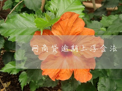 网商贷逾期上浮合法 网商贷逾期上浮合法