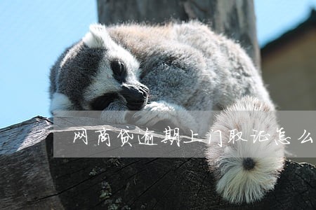 网商贷逾期上门取证怎么办 网商贷逾期上门取证怎么办
