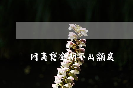 网商贷逾期不出额度 网商贷逾期不出额度