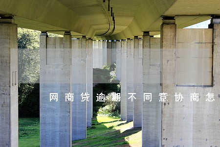 网商贷逾期不同意协商怎么办 网商贷逾期不同意协商怎么办