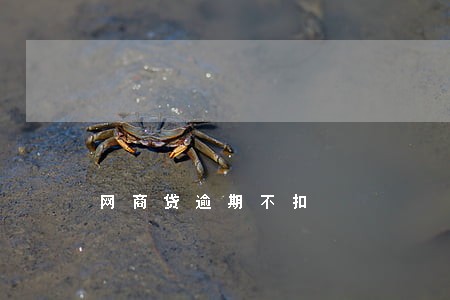网商贷逾期不扣 网商贷逾期不扣