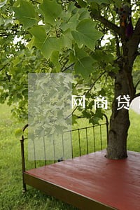 网商贷逾期不扣芝麻分吗 网商贷逾期不扣芝麻分吗