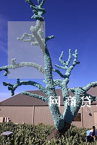 网商贷逾期不满一天 网商贷逾期不满一天