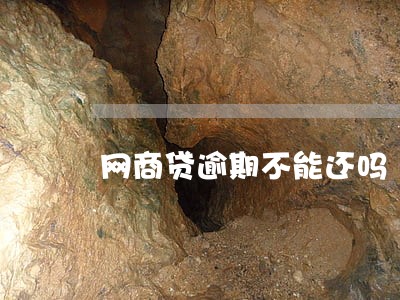 网商贷逾期不能还吗 网商贷逾期不能还吗