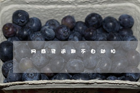 网商贷逾期不自动扣 网商贷逾期不自动扣