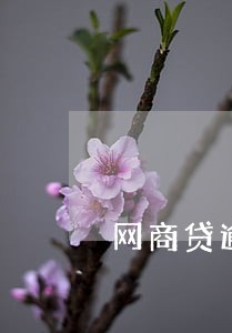 网商贷逾期不自动扣款 网商贷逾期不自动扣款