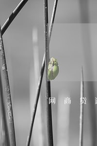 网商贷逾期不还会怎样 网商贷逾期不还会怎样