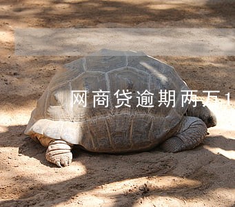 网商贷逾期两万180天 网商贷逾期两万180天