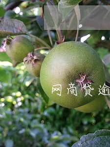 网商贷逾期两万每天利息多少 网商贷逾期两万每天利息多少