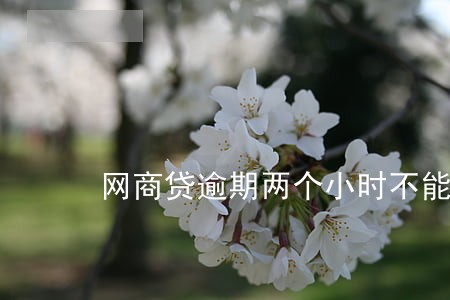 网商贷逾期两个小时不能用了 网商贷逾期两个小时不能用了