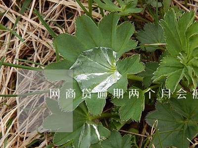网商贷逾期两个月会被起诉么 网商贷逾期两个月会被起诉么