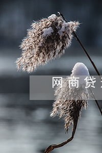 网商贷逾期两个月会起诉吗 网商贷逾期两个月会起诉吗