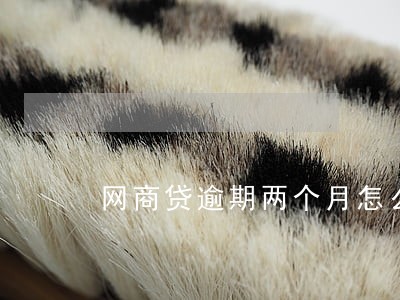 网商贷逾期两个月怎么处理 网商贷逾期两个月怎么处理