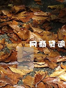 网商贷逾期两个月有事吗