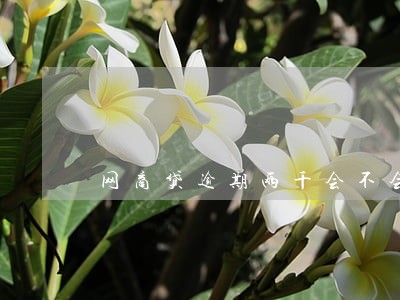 网商贷逾期两千会不会上门 网商贷逾期两千会不会上门