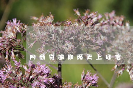 网商贷逾期两天上征信 网商贷逾期两天上征信