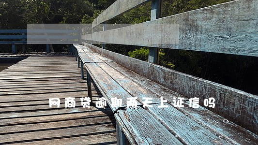 网商贷逾期两天上证信吗 网商贷逾期两天上证信吗