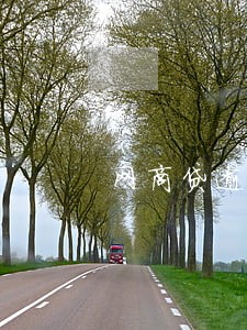 网商贷逾期两天会 网商贷逾期两天会