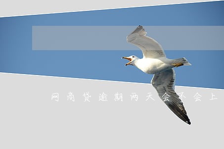 网商贷逾期两天会不会上征信 网商贷逾期两天会不会上征信