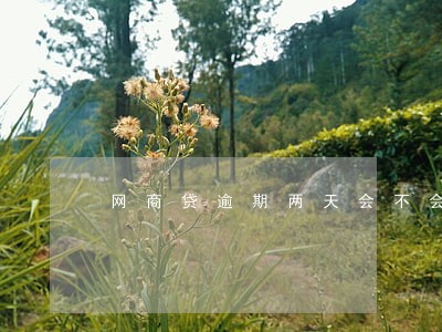 网商贷逾期两天会不会关闭 网商贷逾期两天会不会关闭