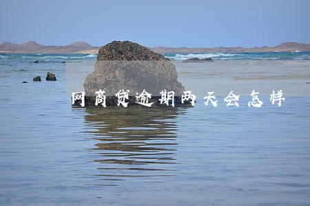 网商贷逾期两天会怎样 网商贷逾期两天会怎样