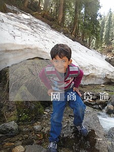 网商贷逾期两天借呗用不了 网商贷逾期两天借呗用不了