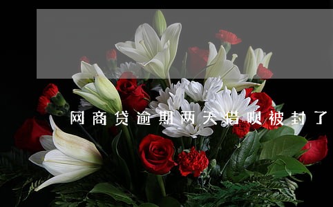 网商贷逾期两天借呗被封了怎么办 网商贷逾期两天借呗被封了怎么办