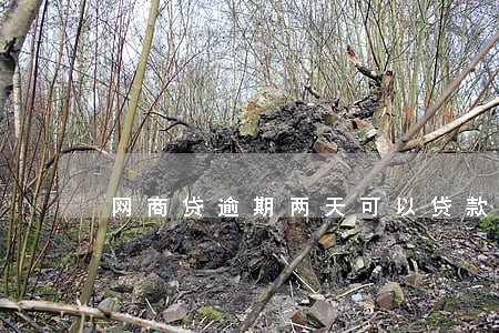 网商贷逾期两天可以贷款吗 网商贷逾期两天可以贷款吗