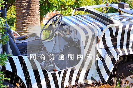 网商贷逾期两天怎么样 网商贷逾期两天怎么样