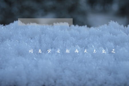 网商贷逾期两天怎么还 网商贷逾期两天怎么还