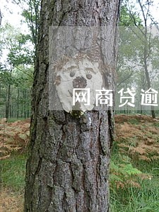 网商贷逾期两天有什么影响 网商贷逾期两天有什么影响