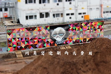 网商贷逾期两天费用 网商贷逾期两天费用