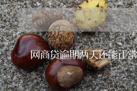 网商贷逾期两天还能正常还款么 网商贷逾期两天还能正常还款么