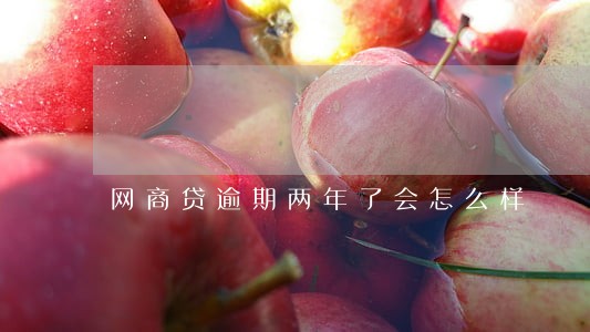 网商贷逾期两年了会怎么样 网商贷逾期两年了会怎么样