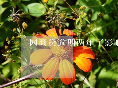 网商贷逾期两年了影响小孩上学吗 网商贷逾期两年了影响小孩上学吗