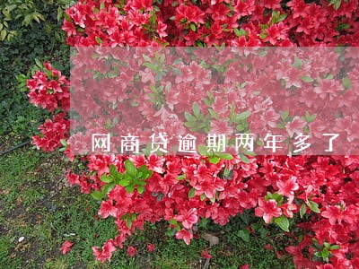 网商贷逾期两年多了 网商贷逾期两年多了