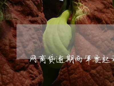 网商贷逾期两年要起诉 网商贷逾期两年要起诉