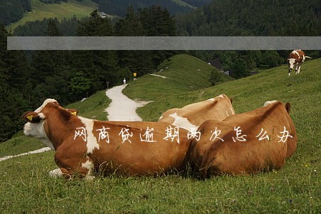 网商贷逾期两次怎么办 网商贷逾期两次怎么办
