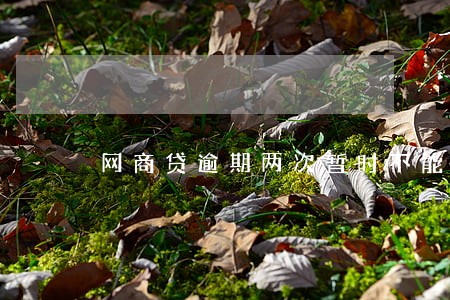 网商贷逾期两次暂时不能贷款 网商贷逾期两次暂时不能贷款