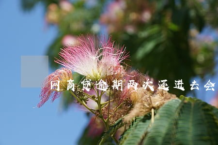 网商贷逾期两次还进去会有额度吗